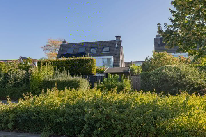 Foto 60 van Tarbot 115