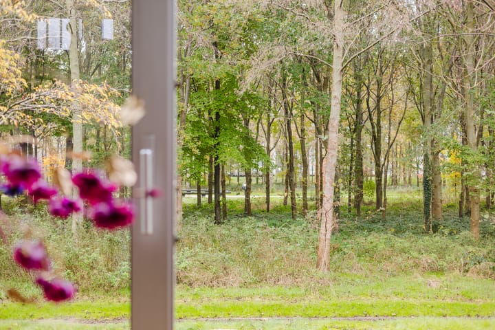 Foto 25 van Landgraaf 7