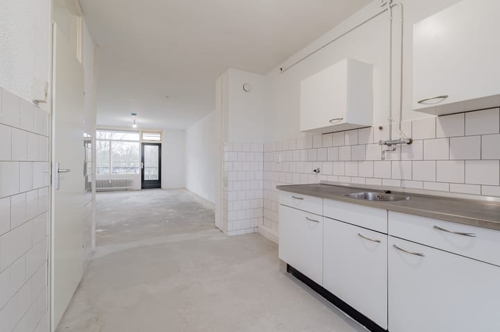 Foto 10 van Amerbos 179