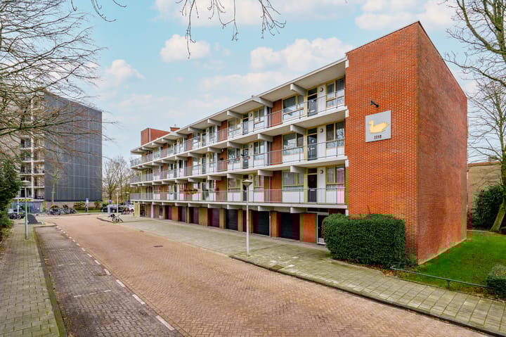 Foto 25 van Amerbos 179