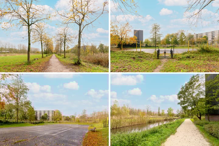 Foto 30 van Amerbos 179