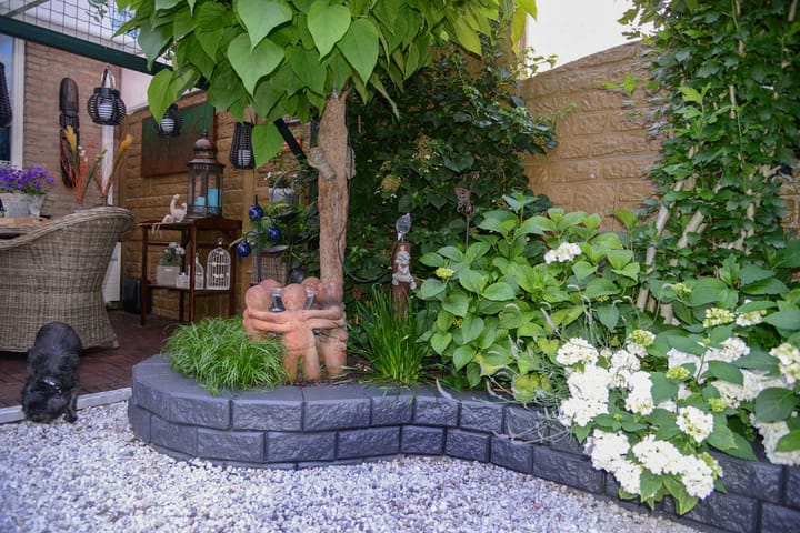 Foto 22 van Kieskoel 5