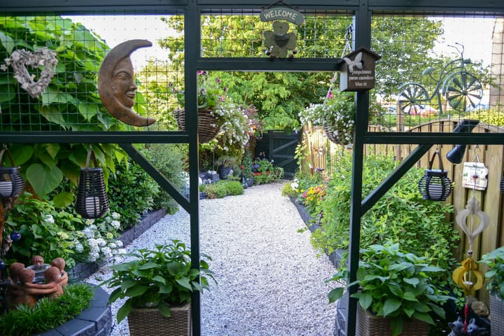 Foto 23 van Kieskoel 5