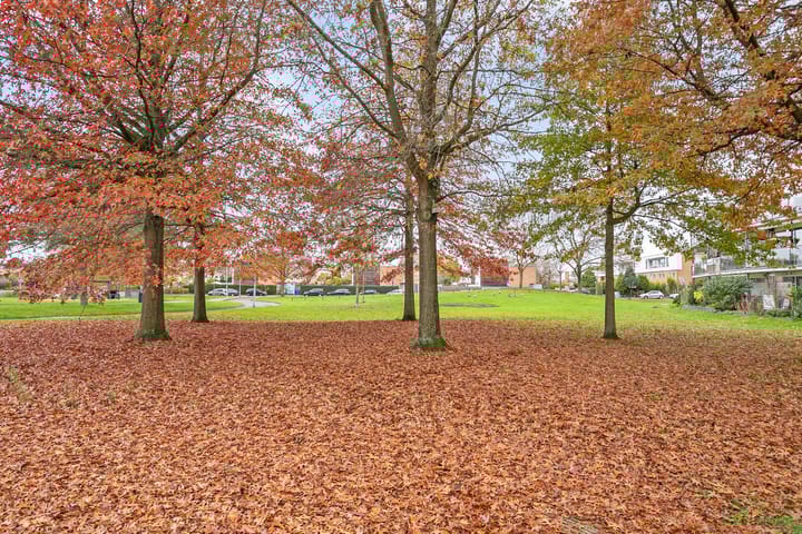 Foto 30 van Koenraad Bothstraat 84