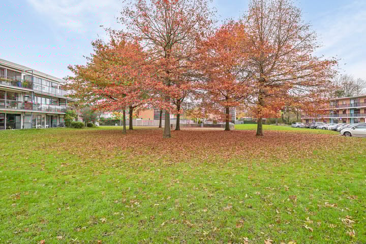 Foto 32 van Koenraad Bothstraat 84