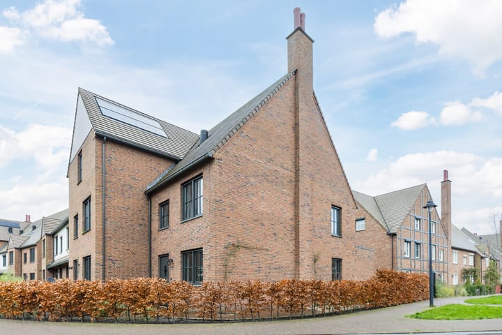 Photo 5 of Thomas Morelaan 60