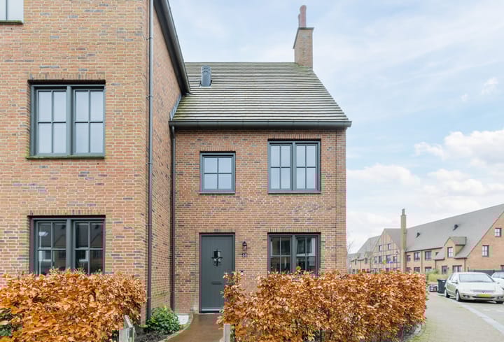 Photo 6 of Thomas Morelaan 60