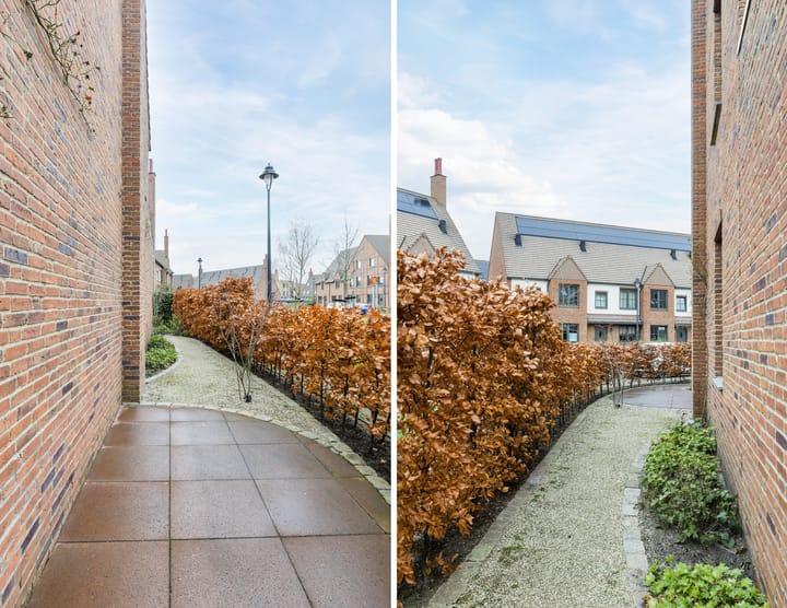 Photo 35 of Thomas Morelaan 60