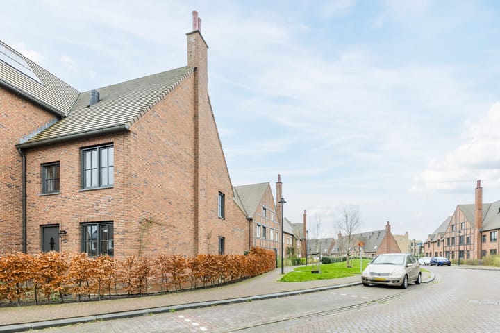 Photo 36 of Thomas Morelaan 60