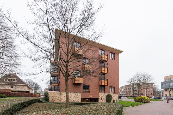 Foto 26 van Laan van de Heelmeesters 35