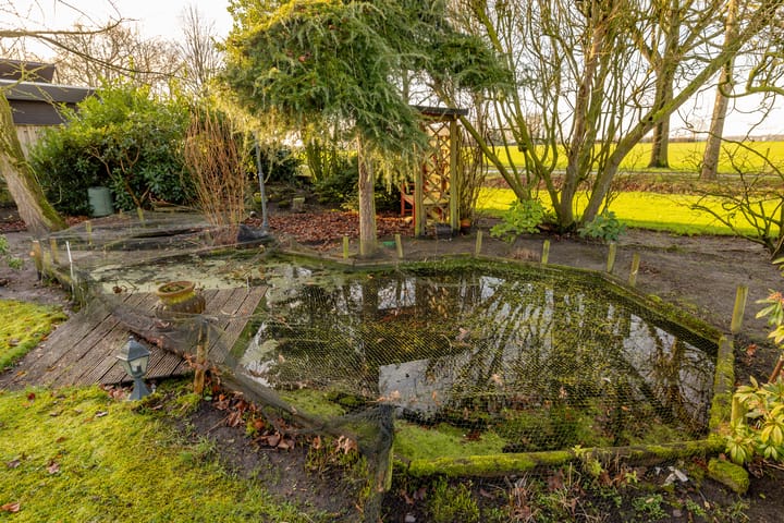 Foto 57 van Parelgras 20