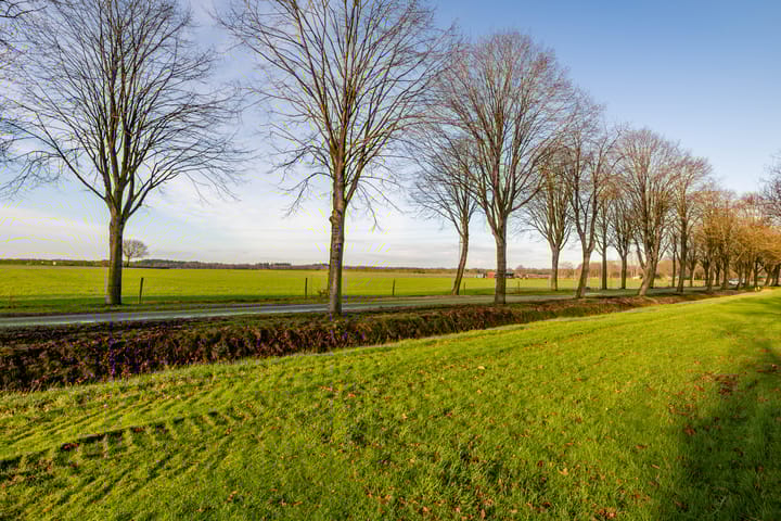 Foto 59 van Parelgras 20