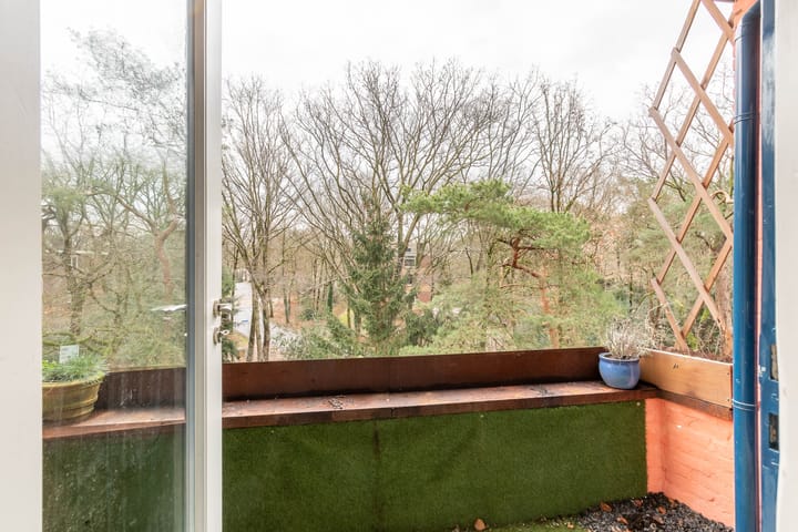 Photo 19 of Antonie van Leeuwenhoeklaan 237