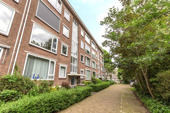 Junghuhnstraat 19