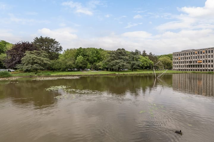 Foto 26 van Junghuhnstraat 19