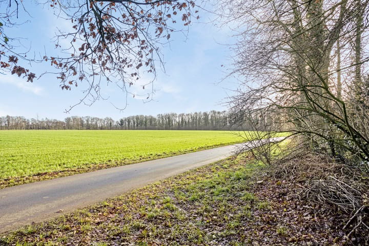 Foto 8 van Greuneweg 3