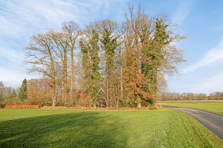 Foto 10 van Greuneweg 3