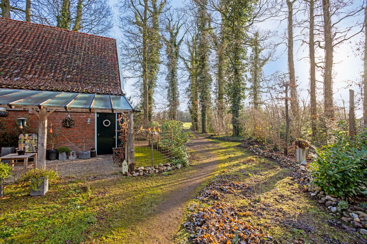 Foto 16 van Greuneweg 3