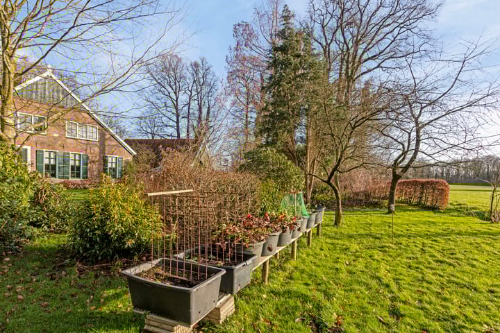 Foto 18 van Greuneweg 3