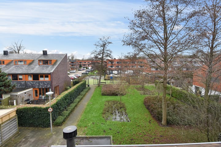 Foto 5 van Rietzoom 115