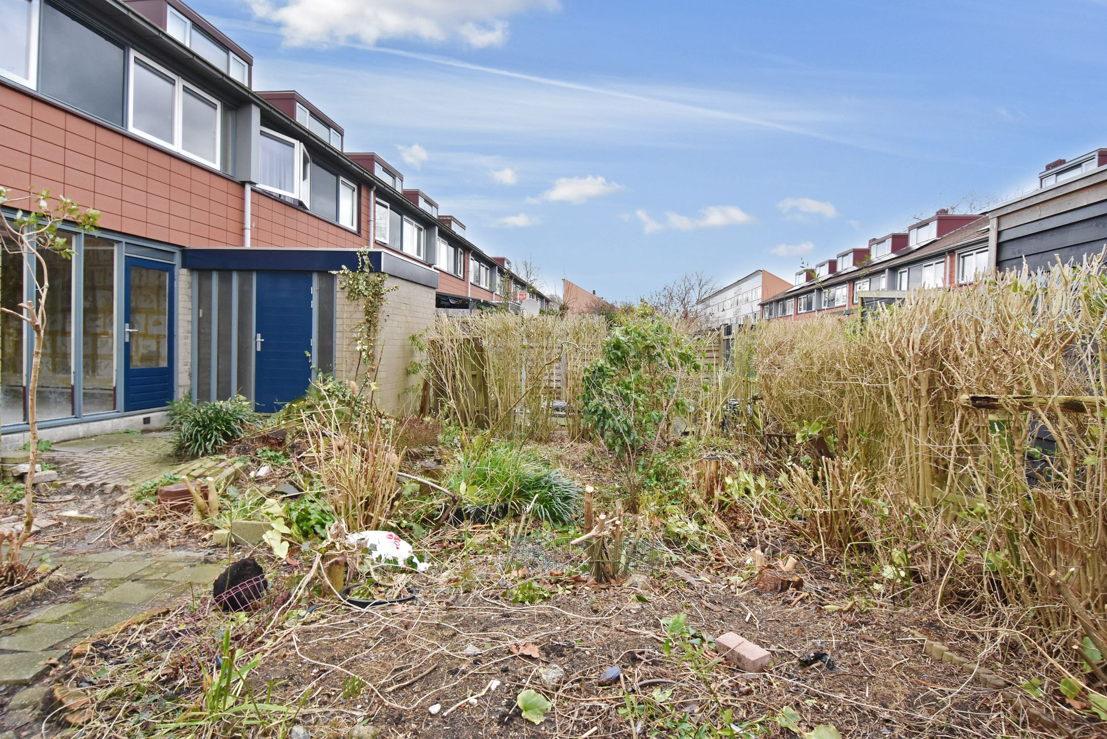 Foto 15 van Rietzoom 115