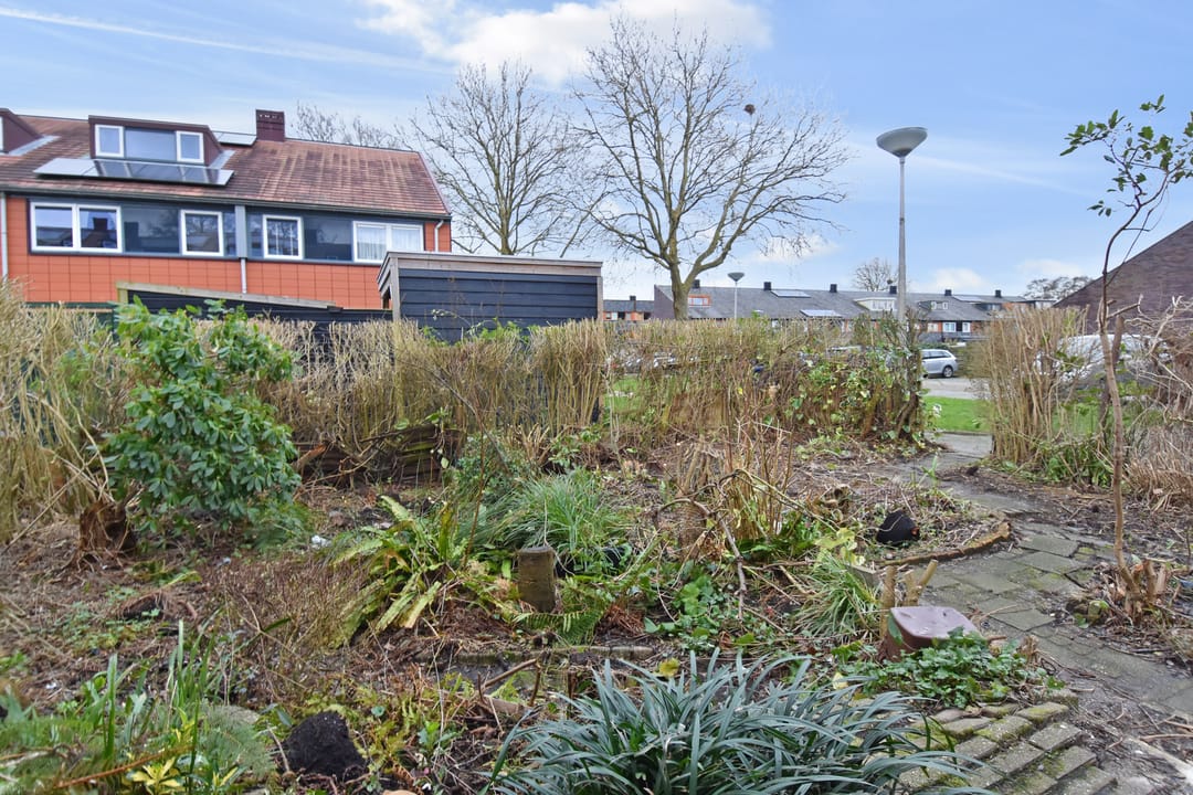 Foto 17 van Rietzoom 115