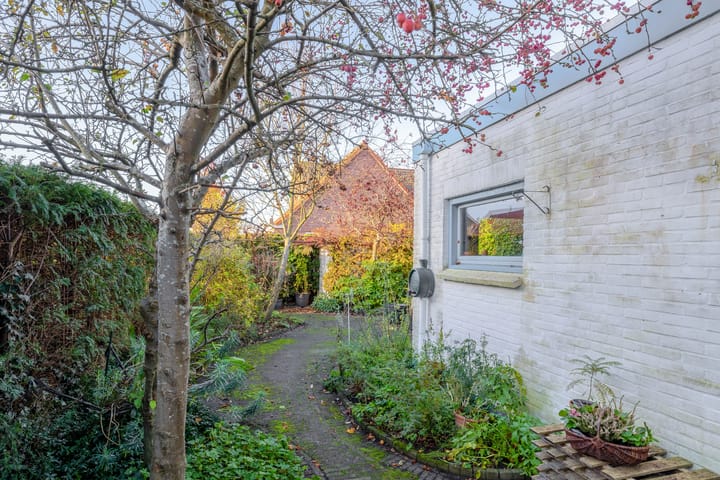 Foto 24 van Wilhelminastraat 31