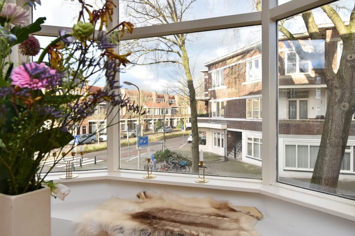 Foto 8 van Laan van Eik en Duinen 165