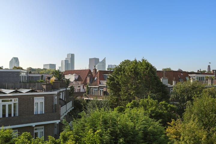 Foto 45 van Paul Gabriëlstraat 147