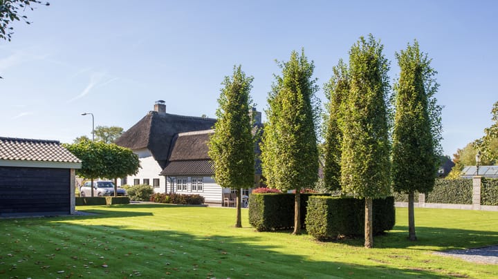 Foto 30 van Groenstraat 9