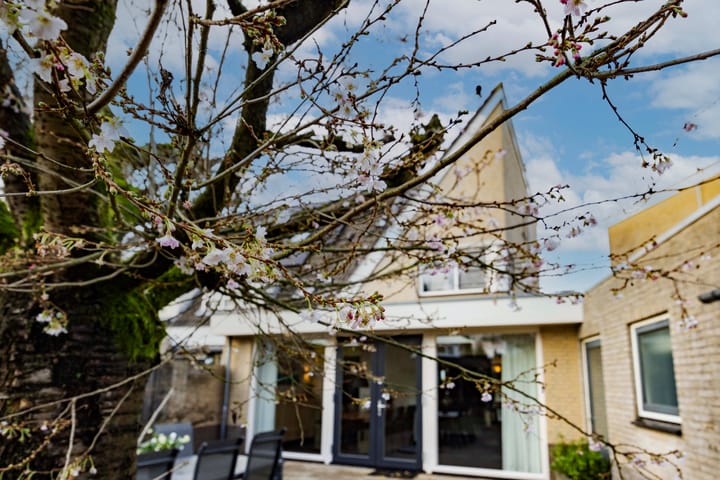 Foto 48 van Muntendamstraat 38