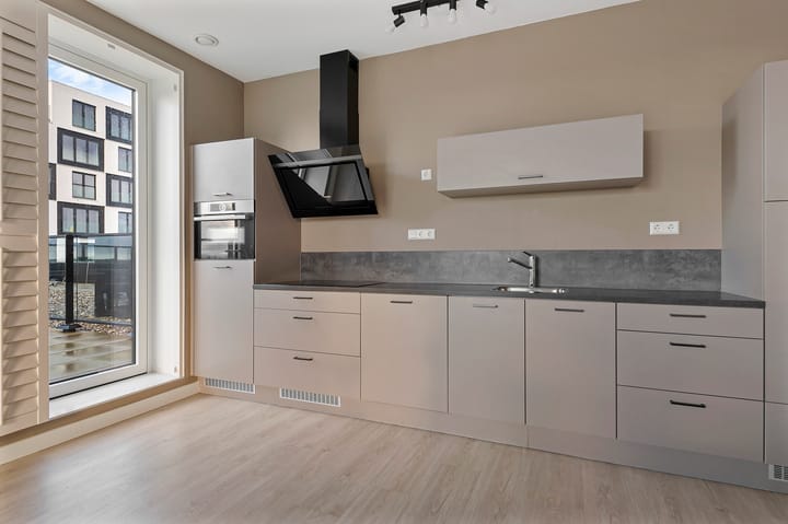 Foto 4 van Mies van der Rohestraat 113