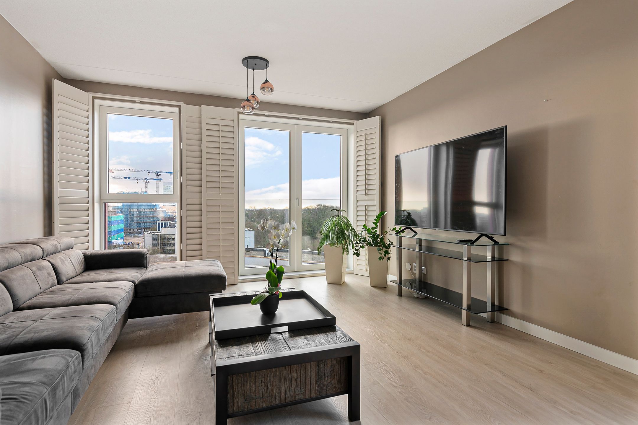 Foto 6 van Mies van der Rohestraat 113