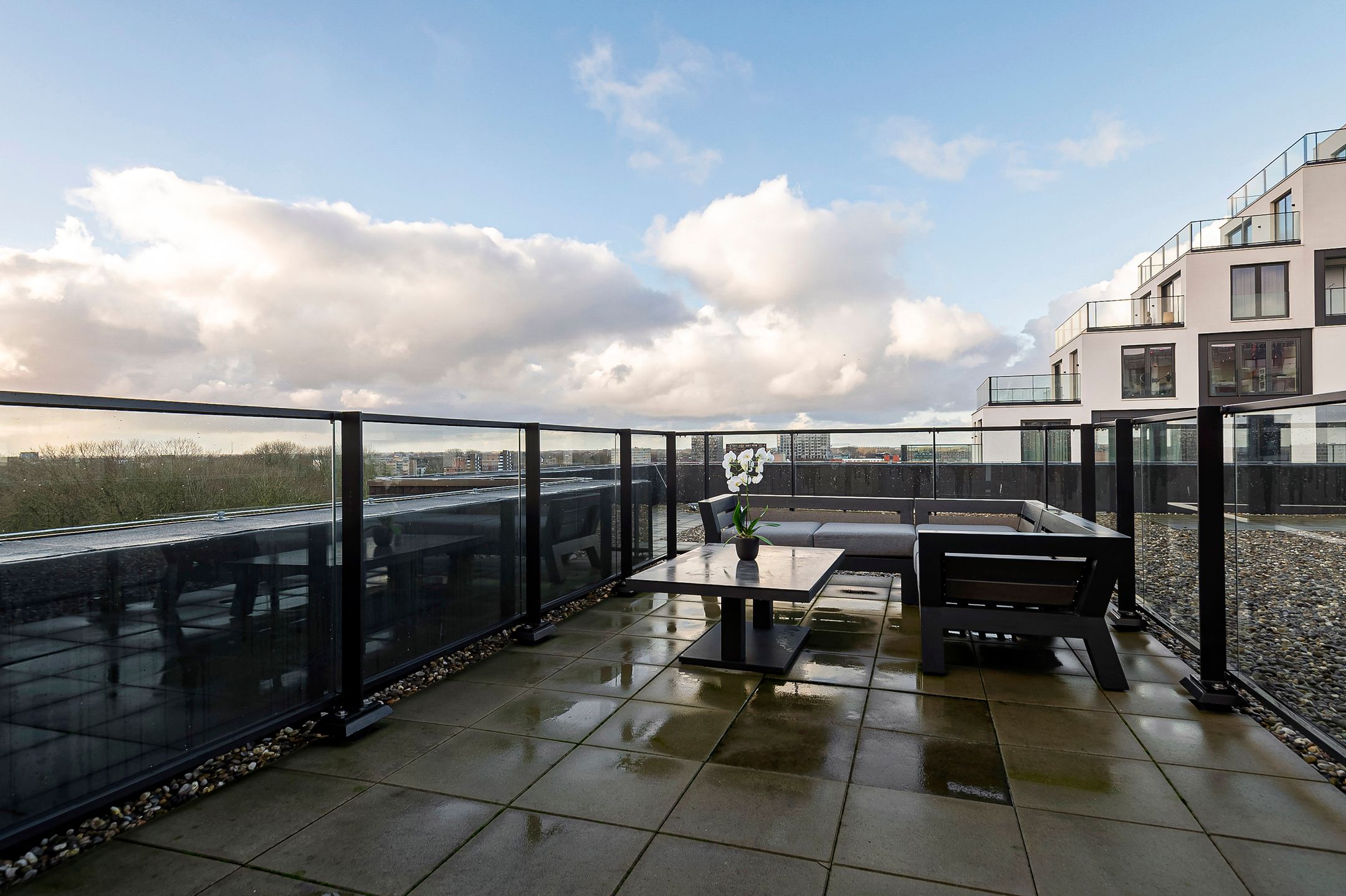 Foto 12 van Mies van der Rohestraat 113