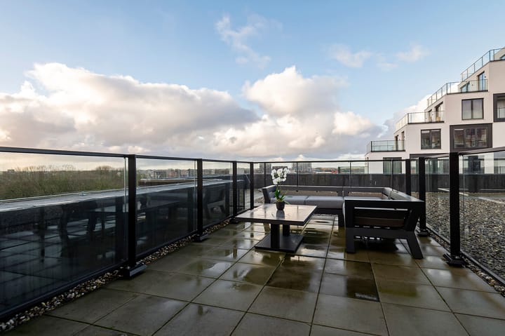 Foto 12 van Mies van der Rohestraat 113