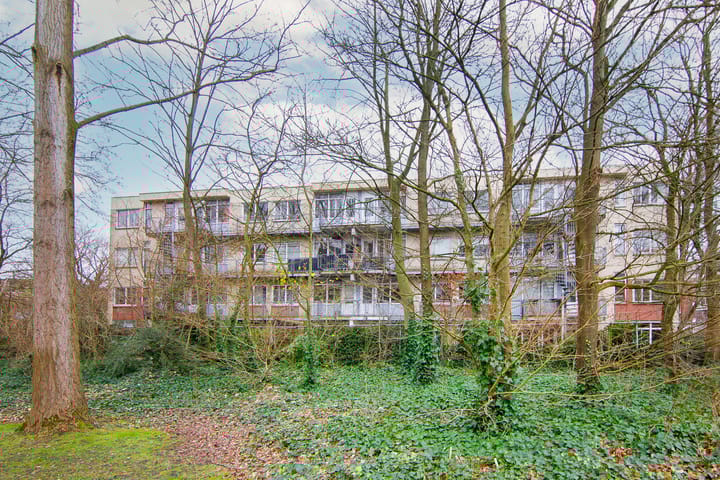 Foto 1 van Diaconessenplein 95