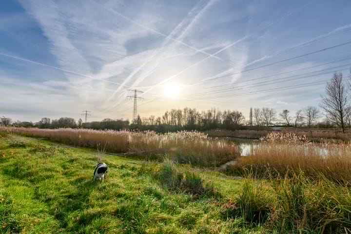 Foto 38 van Dennenhof 3