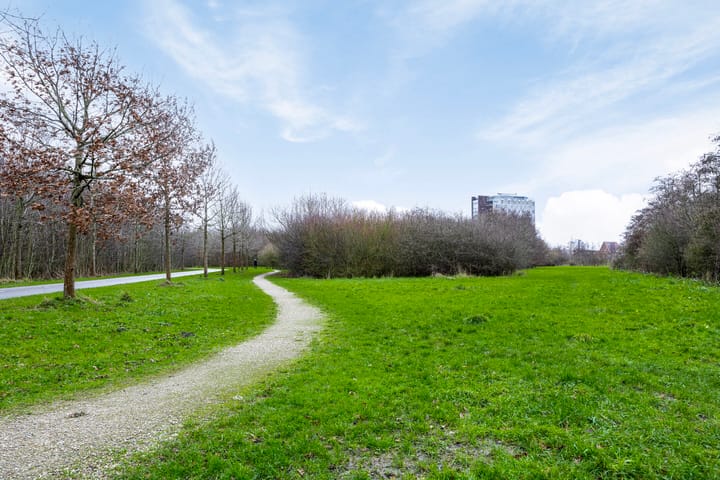 Foto 27 van Hazerswoudestraat 3