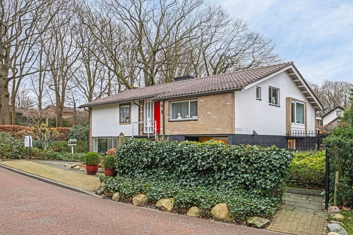 Foto 41 van Loudonlaan 2