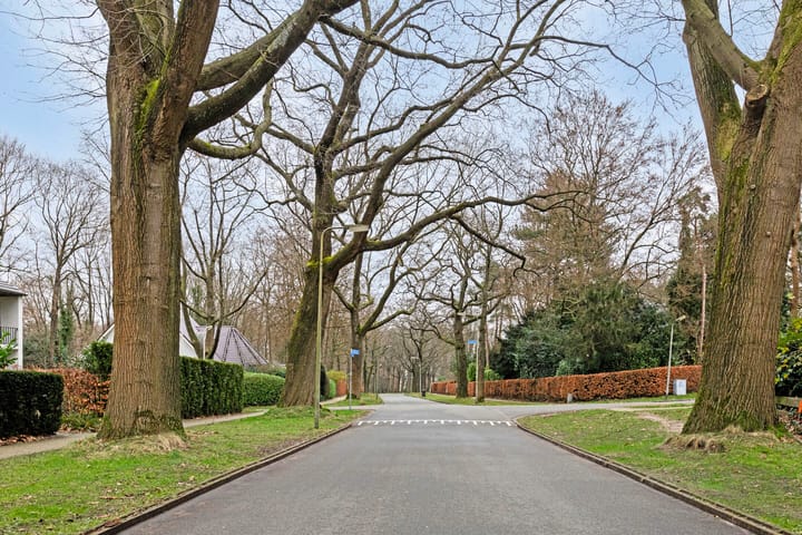 Foto 43 van Loudonlaan 2