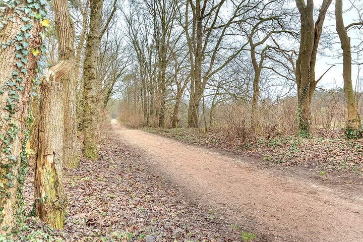 Foto 21 van Tiemen de Jongestraat 6