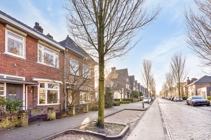 Foto 29 van Theresialaan 53