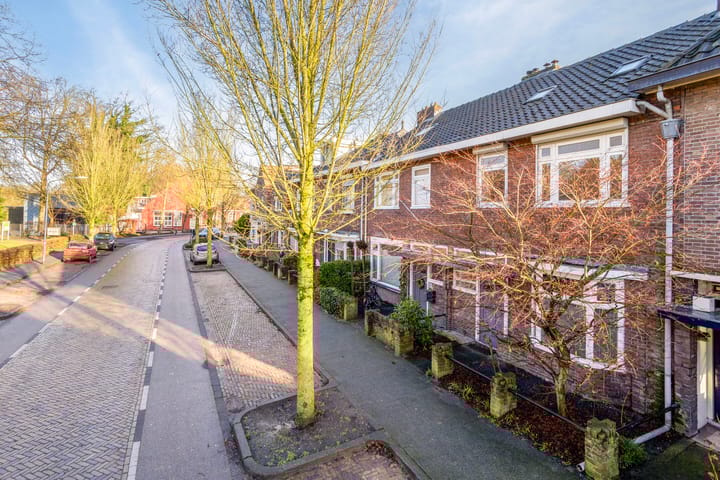 Foto 30 van Theresialaan 53