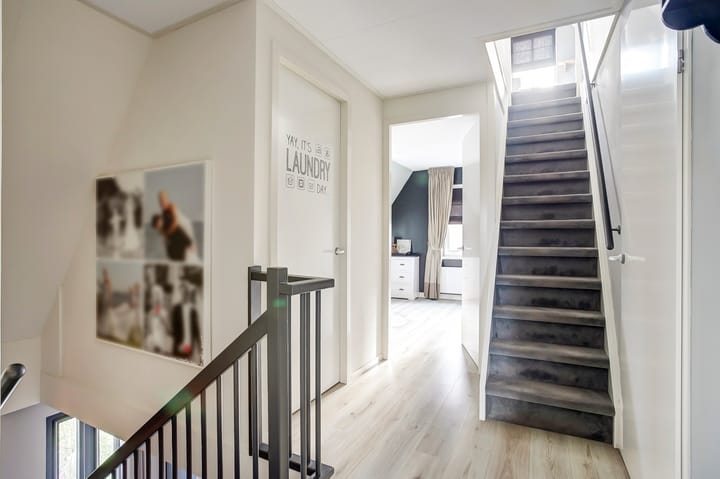 Foto 20 van Goudreinet 3