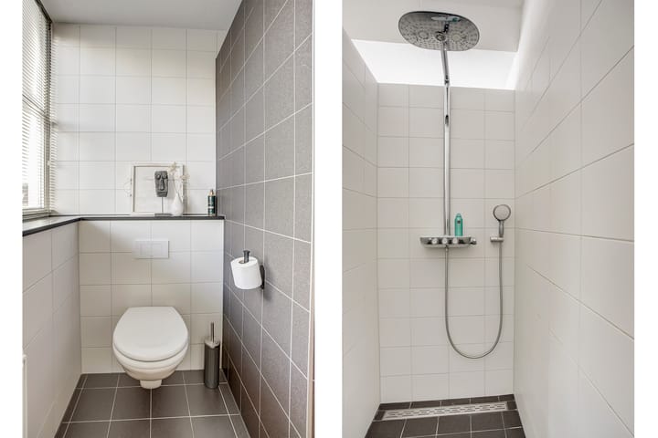 Foto 27 van Goudreinet 3