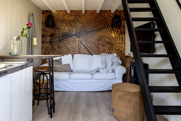 Foto 36 van Goudreinet 3