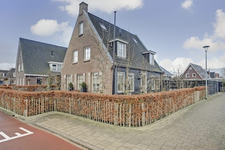 Foto 41 van Goudreinet 3