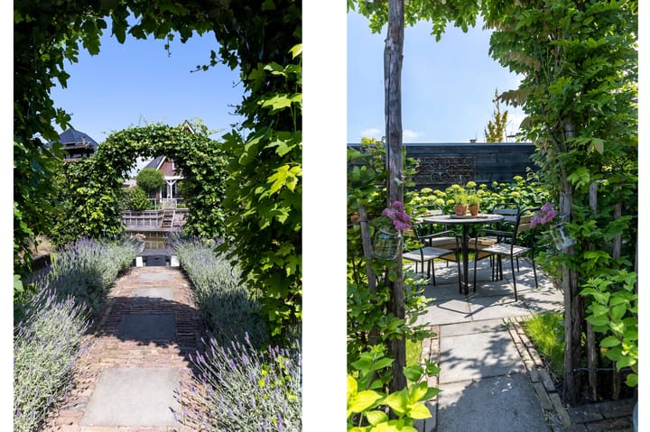 Foto 46 van Goudreinet 3