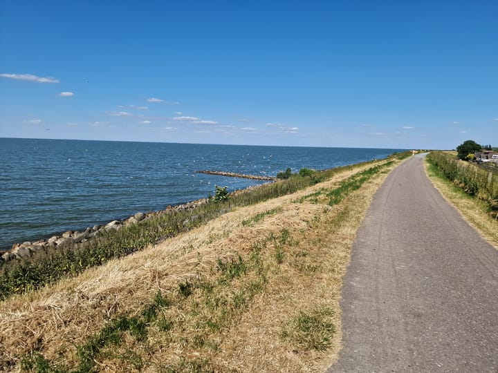 Foto 48 van Goudreinet 3