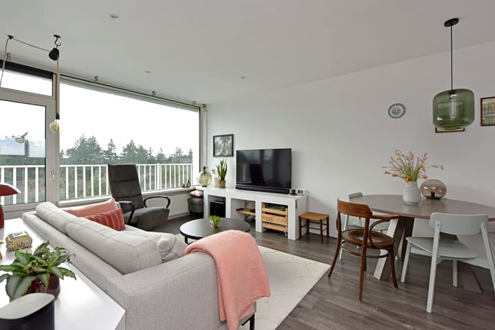 Foto 5 van Anna Paulownalaan 147